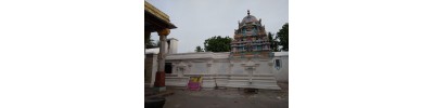 21. திருநந்திபுர விண்ணகரம்